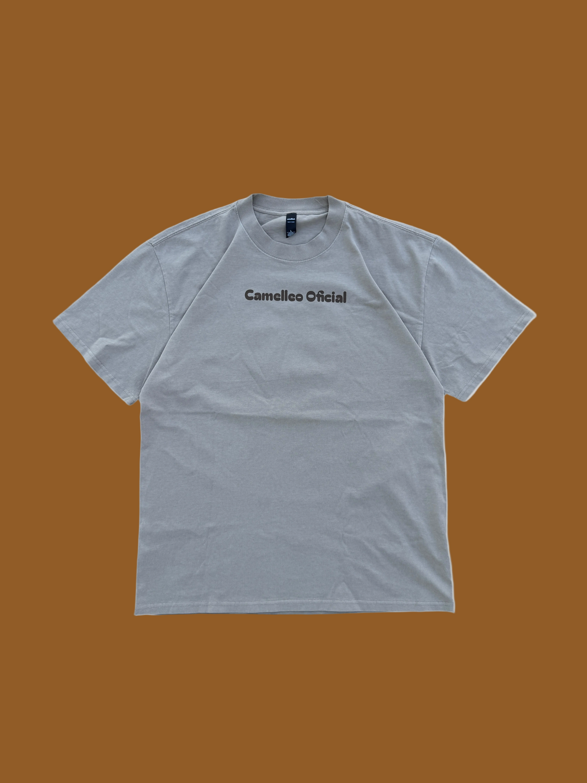 CAMELLEO PROJECT HUSTLERS TEE (EUCALYPTUS)